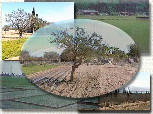 Manejo sustentable de recursos naturales